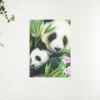 5D Diamond Painting Panda’s ontmoeten Bloem – SEOS Shop ®