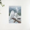 5D Diamond Painting Witte uilen – SEOS Shop ®