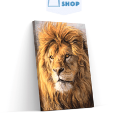 5D Diamond Painting Echte leeuw - SEOS Shop ®