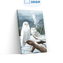 5D Diamond Painting Witte uilen - SEOS Shop ®