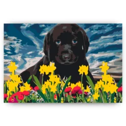 Diamond Painting - Labrador puppy - SEOS®
