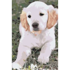 Diamond Painting - Labrador puppy - SEOS®