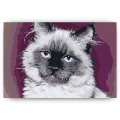 Diamond Painting - Portret van een kat - SEOS®