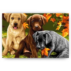Diamond Painting - Prachtige Honden - SEOS®
