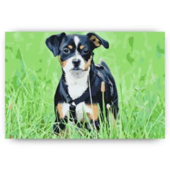 Diamond Painting - Puppy in het gras - SEOS®