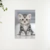 Diamond Painting – Grijze kitten – SEOS®