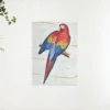 Diamond Painting – Vintage papegaai 2 – SEOS®