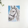 Diamond Painting – Wit paard – SEOS®