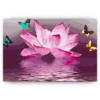 Diamond Painting - Lotus en vlinder - SEOS Shop ®
