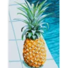 Diamond Painting - Sappige Ananas - SEOS Shop ®
