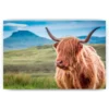 Diamond Painting Schotse hooglander - Harige Schotse hooglander op Isle of Skye - SEOS Shop ®