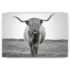 Diamond Painting Schotse hooglander - Indrukwekkende Schotse hooglander stier met lange horens in zwart-wit - SEOS Shop ®