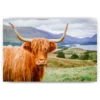 Diamond Painting Schotse hooglander - Schotse hooglander in een schitterend landschap - SEOS Shop ®
